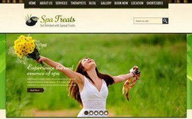 wordpress salon spa themes