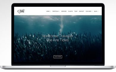 wordpress single page themes
