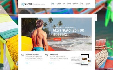 wordpress bbpress themes