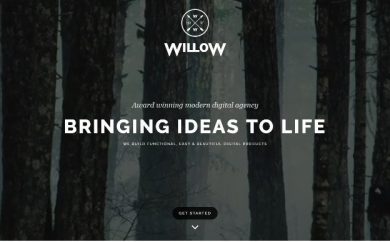 wordpress small business themes