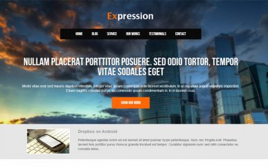 wordpress premium themes